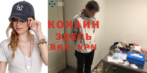индика Киреевск