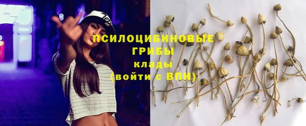 шишки Абдулино