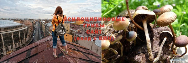 шишки Абдулино