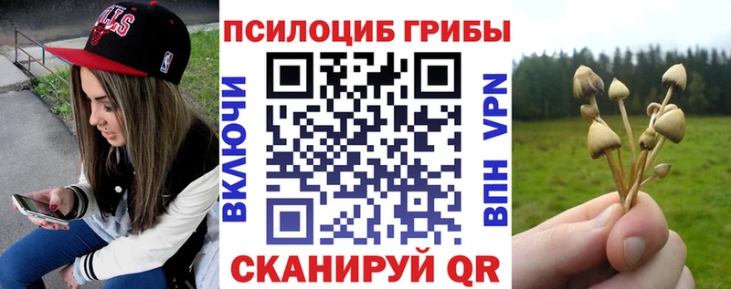 блэк спрут зеркало  Суоярви  Галлюциногенные грибы Psilocybe 